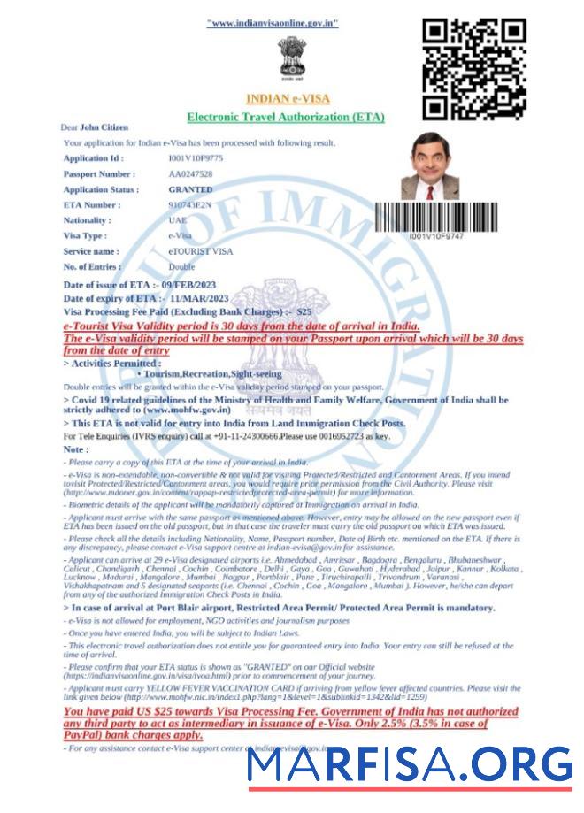 Realistic India e visa in Word and Pdf template